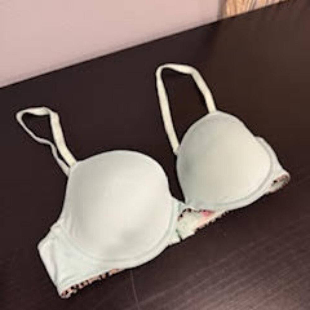 Pink Bra